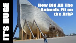 Was there room for all the animals on the ark?