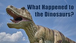 What Happened To The Dinosaurs?