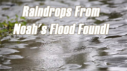 fossil raindrops support flood