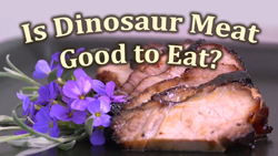 dinosaurs are good to eat