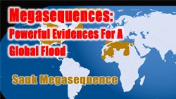 Megasequences Prove Global Flood