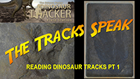 Reading Dinosaur Tracks