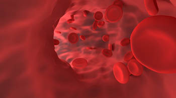 red blood cells